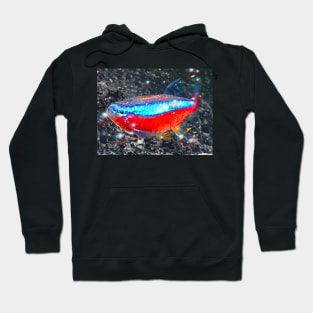 Neon Tetra Hoodie